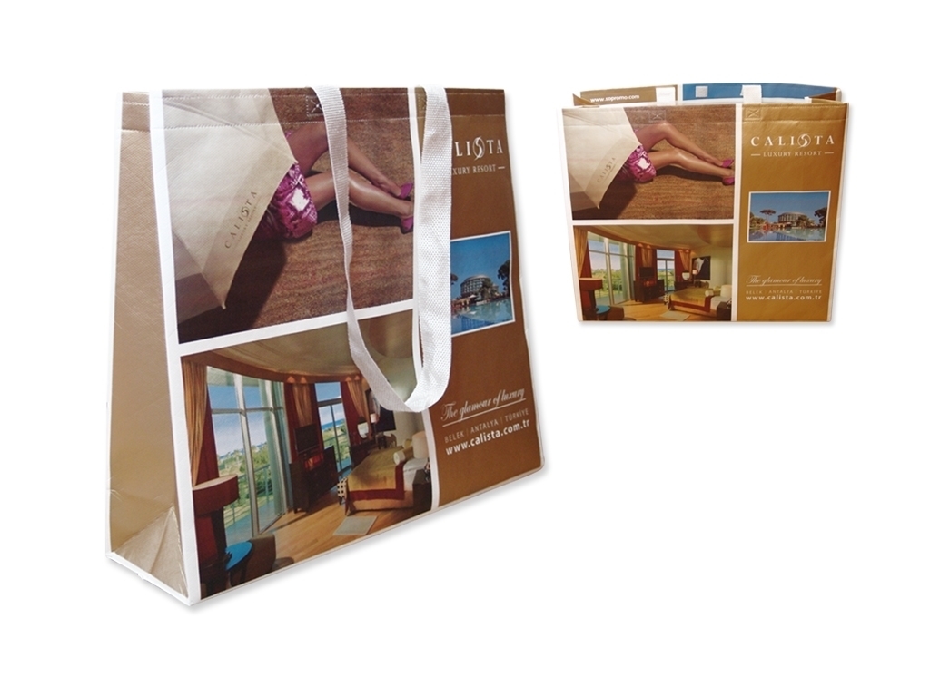 Laminated Beach Bag